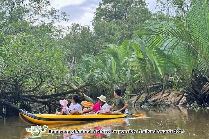 Khao Lak Elephant Sanctuary and Little Amazon Canoe Tour — Mangroves & Wildlife photo 3