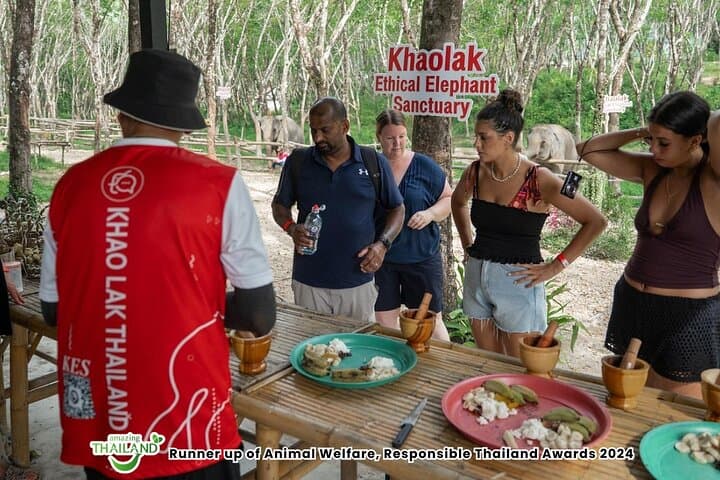 Khao Lak Ethical Elephant Sanctuary Conservation Experience — Observation-Only Visit photo 4