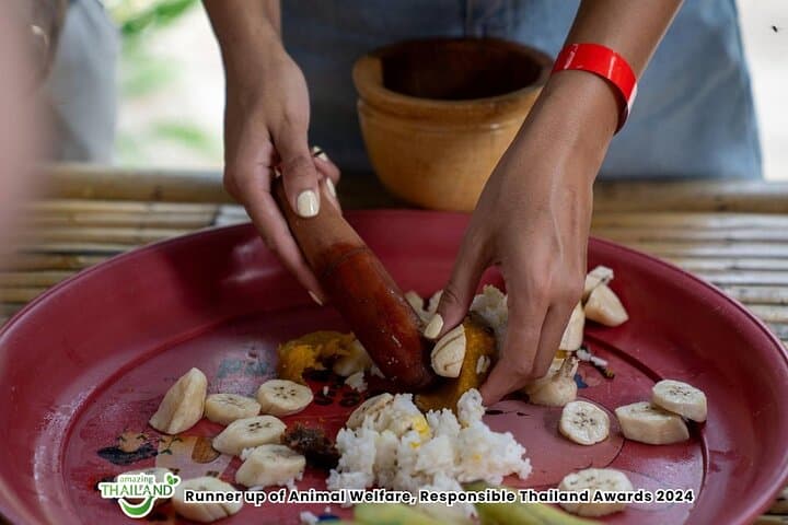 Khao Lak Ethical Elephant Sanctuary Conservation Experience — Observation-Only Visit photo 5