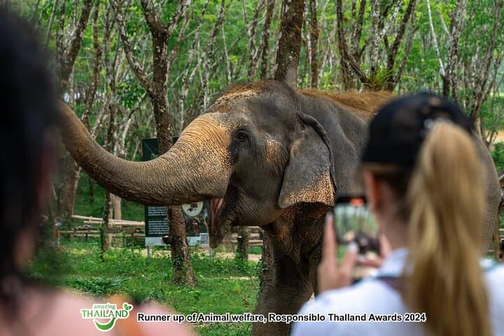 Khao Lak Elephant Sanctuary Tour: Waterfall Swim, Herbal Ball Workshop & Lunch