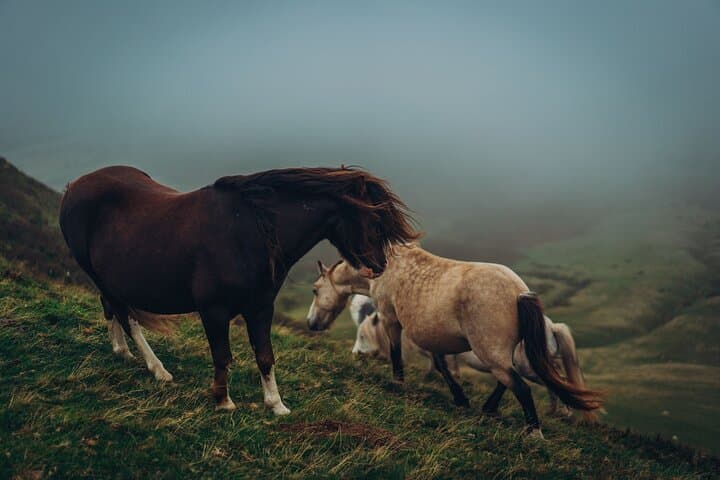 Brecon Beacons to Hay-on-Wye: A Day Through Welsh Mountains, Castles & Industrial Heritage photo 4