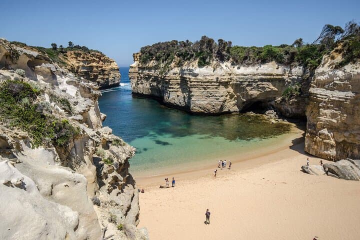 Great Ocean Road Full Day Tour from Melbourne: Twelve Apostles, Koalas & Otways photo 3