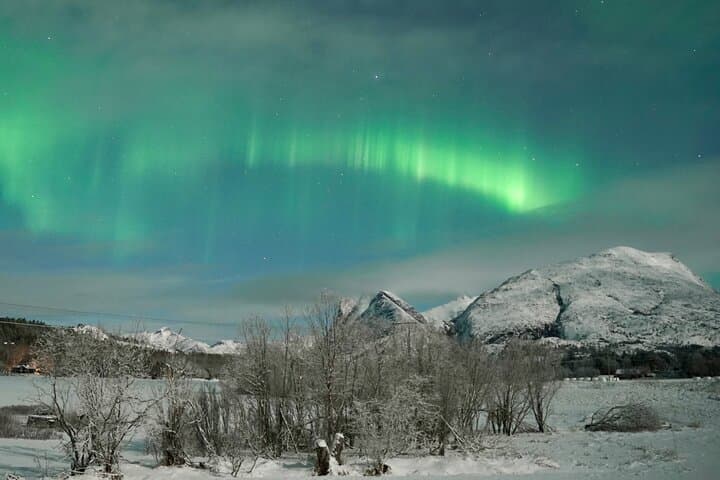 Bodø Northern Lights Safari — Chase the Aurora on an Arctic Night photo 5