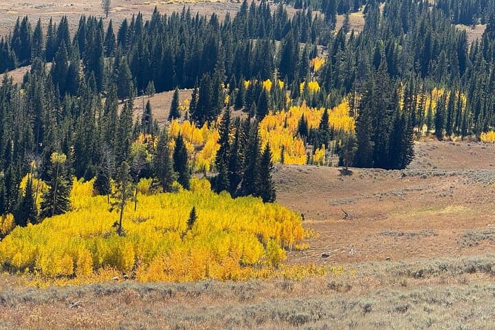 Exploring Yellowstone’s Hidden Hiking Gems: Wildlife and Wilderness in West Yellowstone photo 3