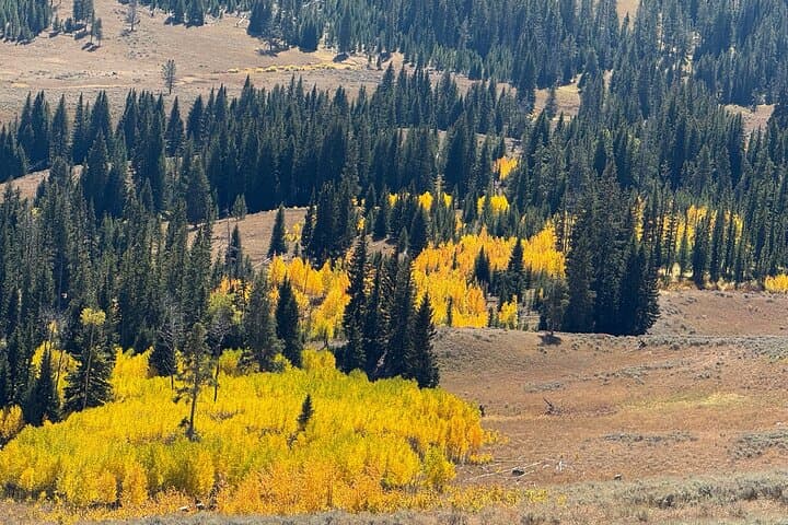 Experience Yellowstone's Lamar Valley Wildlife and Healing Sound Bath Retreat photo 4
