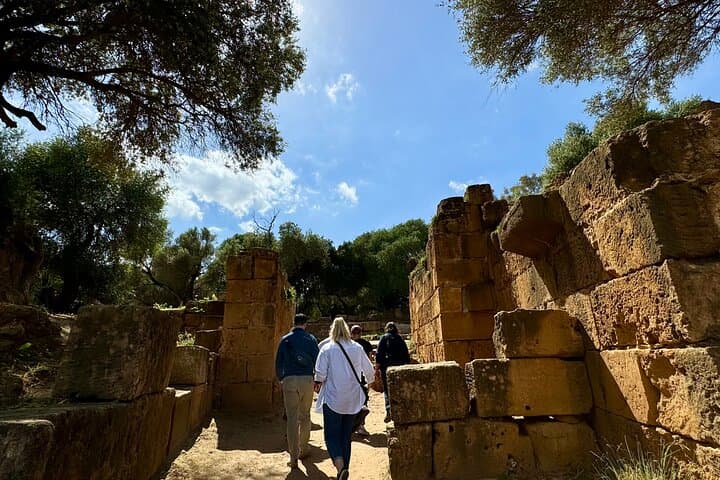 Algeria 10-Day Sahara & Heritage Tour: Algiers to Djanet photo 4