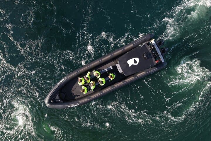 RIB Ride Through Saltstraumen: World's Strongest Maelstrom & Eagle Safari