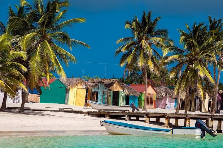 Saona Island VIP Day Trip from Punta Cana: Catamaran Beaches & Turtle Sanctuary