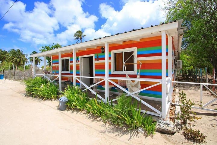 Saona Island VIP Day Trip from Punta Cana: Catamaran Beaches & Turtle Sanctuary photo 2