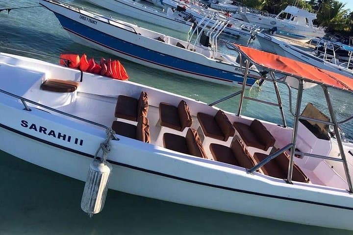 Saona Island VIP Day Trip from Punta Cana: Catamaran Beaches & Turtle Sanctuary photo 5