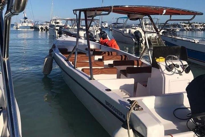 Saona Island VIP Day Trip from Punta Cana: Catamaran Beaches & Turtle Sanctuary photo 3