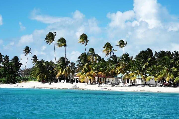 Saona Island VIP Day Trip from Punta Cana: Catamaran Beaches & Turtle Sanctuary photo 6