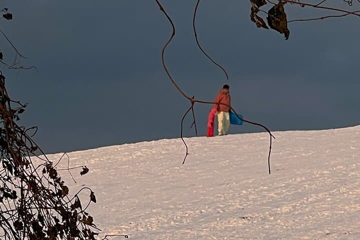 Jeju Island Winter Trekking and Snow Sledding: A Private Day Tour on Hallasan photo 6