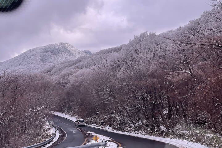 Jeju Island Winter Trekking and Snow Sledding: A Private Day Tour on Hallasan photo 3
