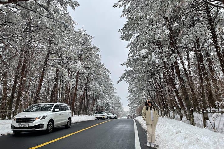 Jeju Island Winter Trekking and Snow Sledding: A Private Day Tour on Hallasan