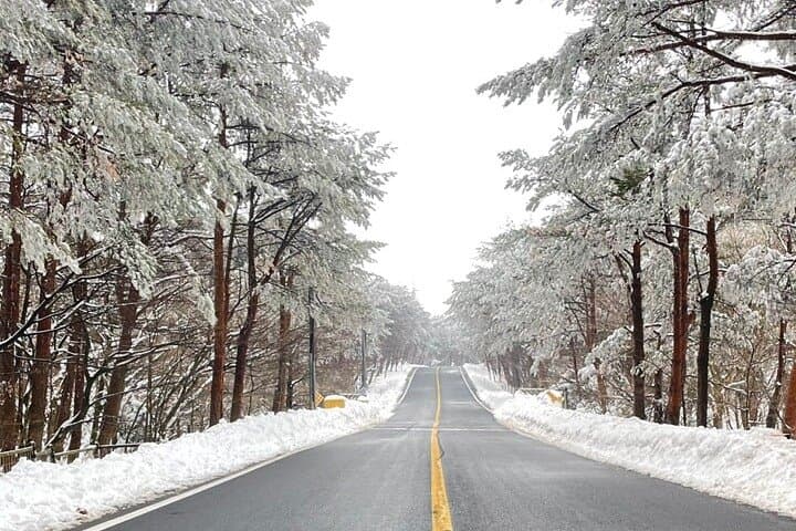 Jeju Island Winter Trekking and Snow Sledding: A Private Day Tour on Hallasan photo 5