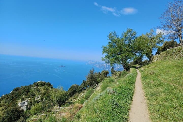Lemon Trail Trek — Amalfi Coast Lemon Groves, Sea Views & Local Guide