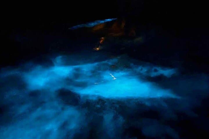 Vieques Mosquito Bay Clear Kayak Tour: Night Bioluminescence Experience