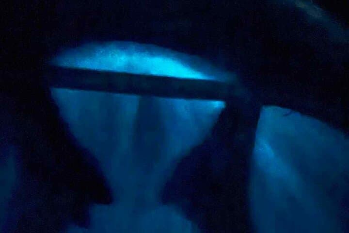 Vieques Mosquito Bay Clear Kayak Tour: Night Bioluminescence Experience photo 6