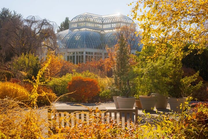 Explore the New York Botanical Garden: All-Garden Pass Guide photo 5
