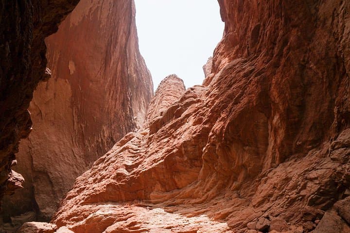 Red Rock Canyon Small-Group Tour from Las Vegas: Scenic Drive, Short Hikes & Petroglyphs photo 4