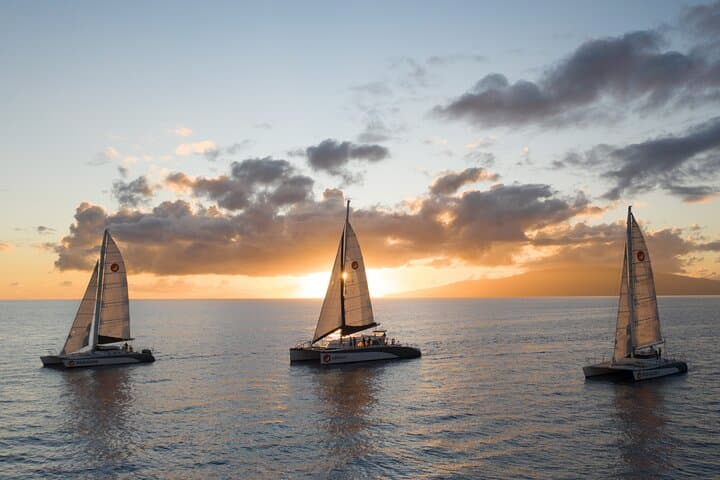 Akialoa Maalaea Sunset Sail — Maui Catamaran Cruise & Whale-Watching