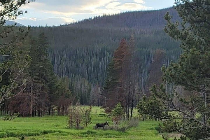 Estes Park Off-Road 4x4 Jeep Adventure Tour — Rugged Rocky Mountain Trails photo 3