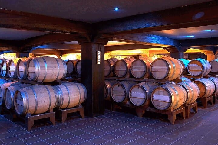 Half-Day Wine Tasting at Ktima Gerovassiliou from Thessaloniki photo 2