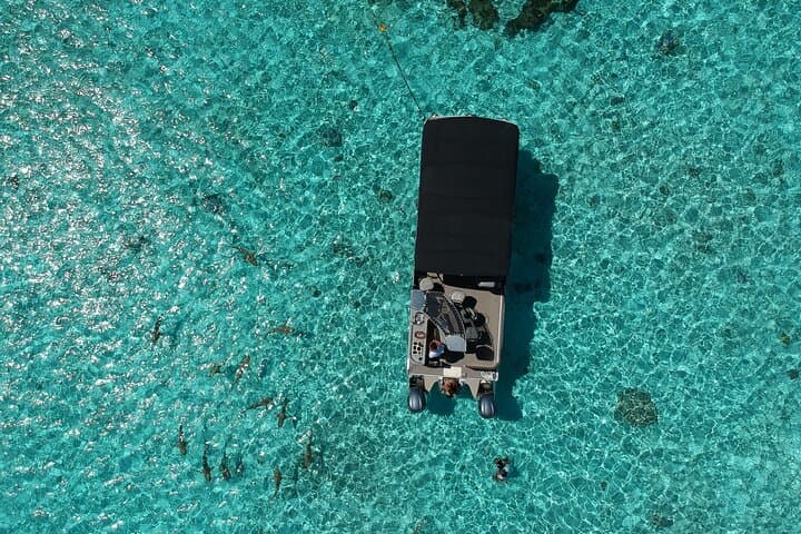 Private Lagoon Tour in Bora Bora: Bar Boat Snorkeling with Rays & Sharks