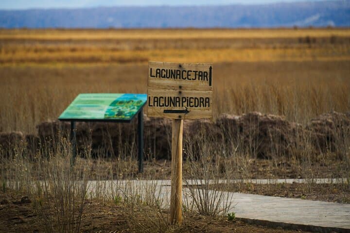San Pedro de Atacama Cejar Lagoon Tour — Float the Atacama Salt Lagoons photo 5