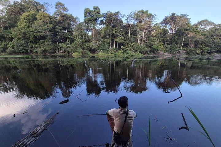 Jungle of Mirrors: 5-Day Pacaya Samiria Amazon Expedition from Iquitos