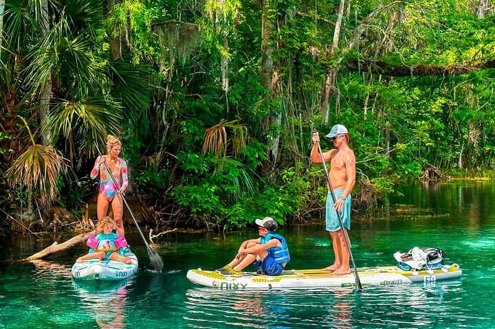Paddle with Manatees at Silver Springs: Paddleboard & Kayak Wildlife Adventure photo 5
