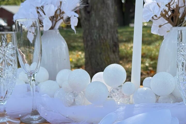 Luxury Picnic Experience in Pittsburgh — Curated Park Picnics by Glam Picnics photo 4