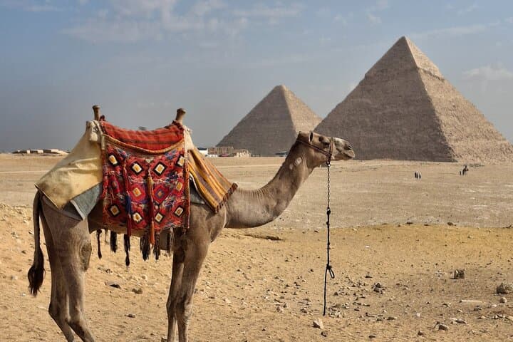 Grand Egyptian Museum & Giza Pyramids: Private Full-Day Tour photo 4