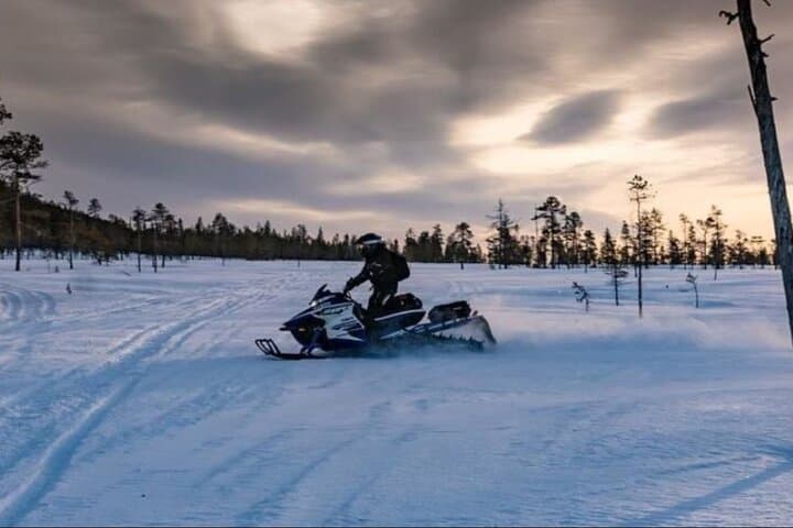 Levi Snowmobile Wilderness Ride: 25km Guided Arctic Safari photo 4