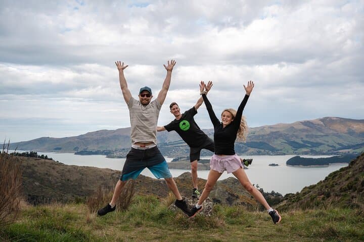Banks Peninsula Explorer: Half-Day Private Scenic Tour from Christchurch photo 3