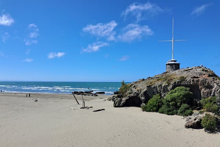 Banks Peninsula Explorer: Half-Day Private Scenic Tour from Christchurch photo 5