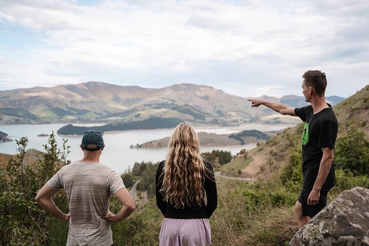 Banks Peninsula Explorer: Half-Day Private Scenic Tour from Christchurch