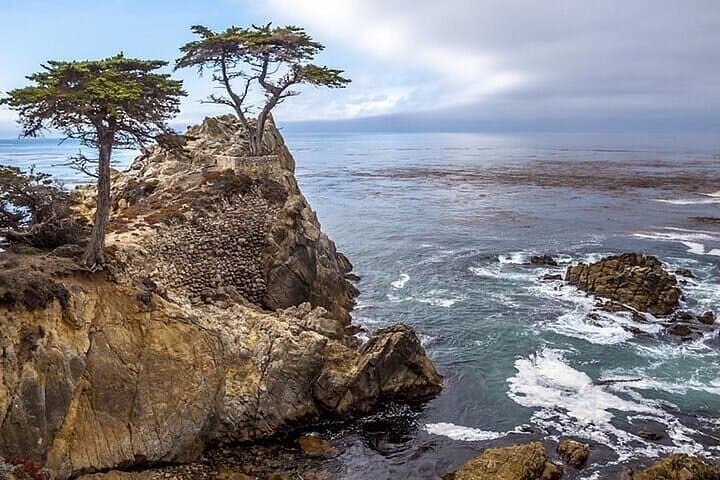 Monterey to Big Sur Private Tour — 17-Mile Drive, Point Lobos & Bixby Bridge