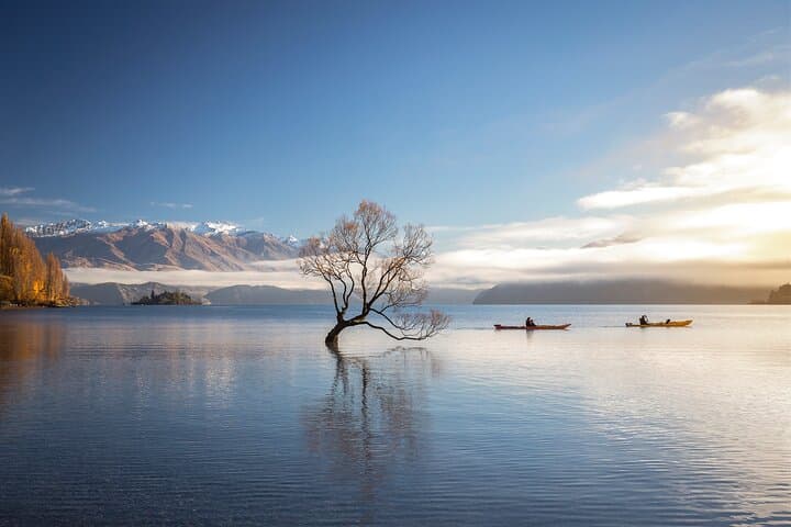 Glide Lake Wanaka: Roy's Bay 7km Guided Kayak Tour photo 3