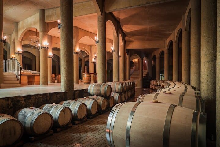 Haras de Pirque Private Vineyard Tour & Wine Tastings in the Maipo-Andes photo 2