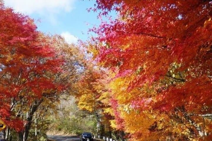 Private Nikko Day Trip from Tokyo — Toshogu, Lake Chuzenji & Kegon Falls Guide photo 1