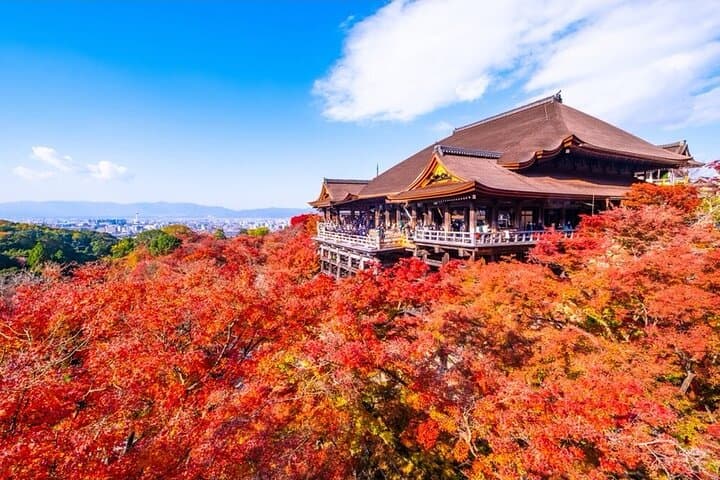 Private Kyoto & Nara Car Tour with Local English Guide and Driver photo 2