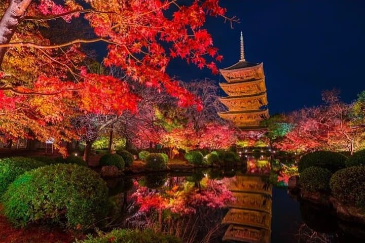 Private Kyoto & Nara Car Tour with Local English Guide and Driver photo 3