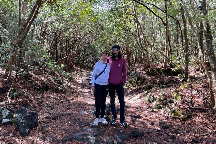 Aokigahara Jukai Forest Tour at Mt. Fuji — Guided Lava-Cave & Lake Saiko Exploration photo 3