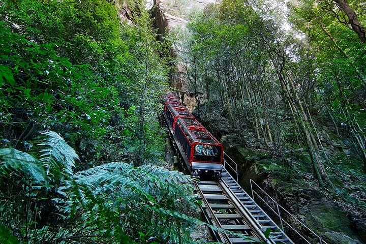 Blue Mountains Day Tour from Sydney: ScenicWorld or Guided Bushwalk with Koalas (Small Group) photo 2