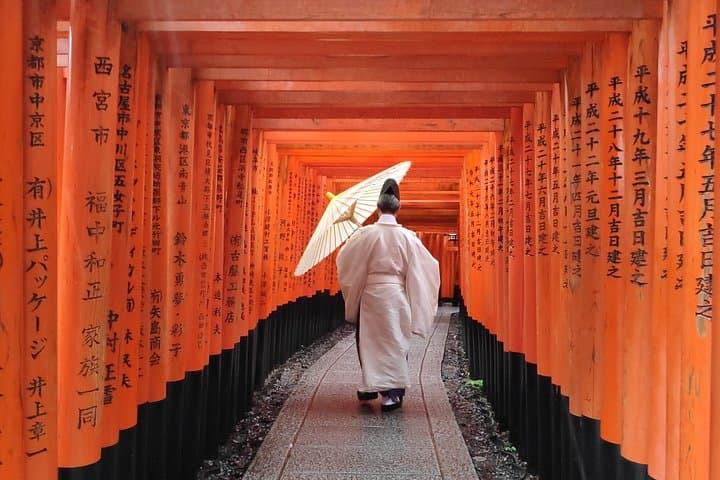 Private Morning Luxury Alphard Tour: See Kyoto's Icons Before the Crowds photo 2