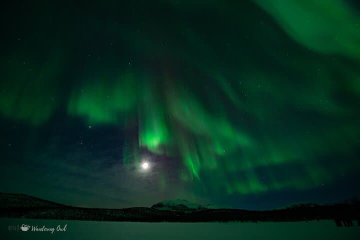 Private Aurora Hunt from Levi: Arctic Northern Lights Safari for Small Groups photo 6