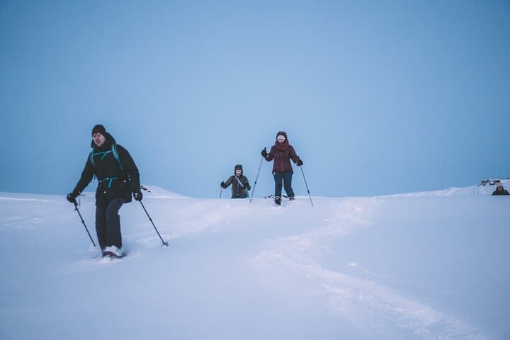 Snowshoeing Around Levi: Guided Arctic Wilderness Tour photo 6