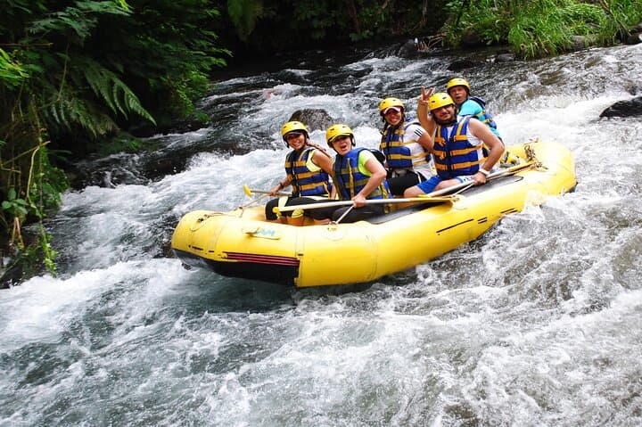 Ayung River Rafting: 12km Ubud White-Water Adventure with Riverside Meal photo 2